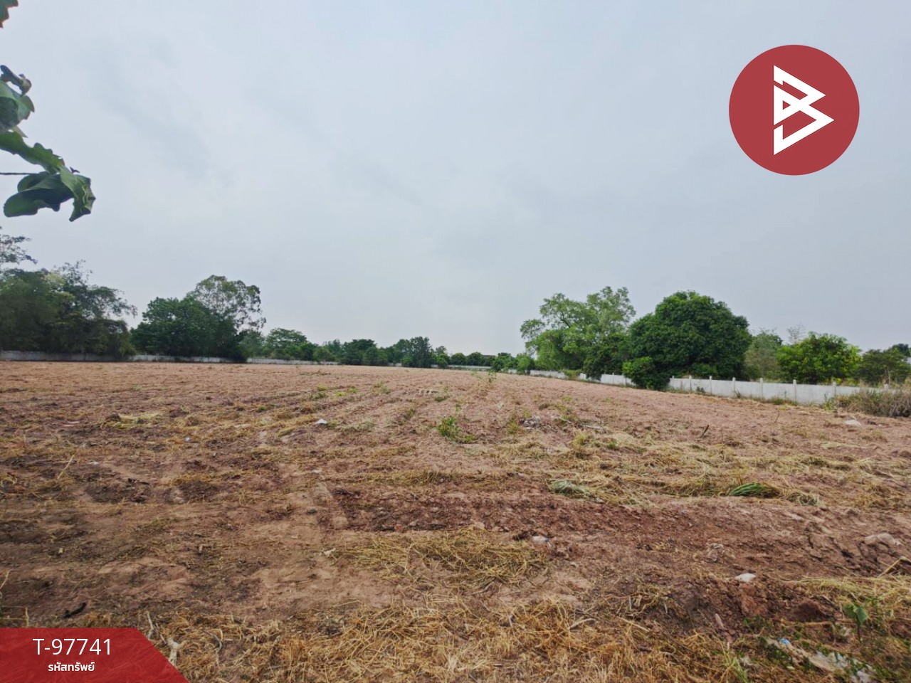 Urgent sale of vacant land, area 7 rai 78.2 sq.wa, Kham Thale So, Nakhon Ratchasima