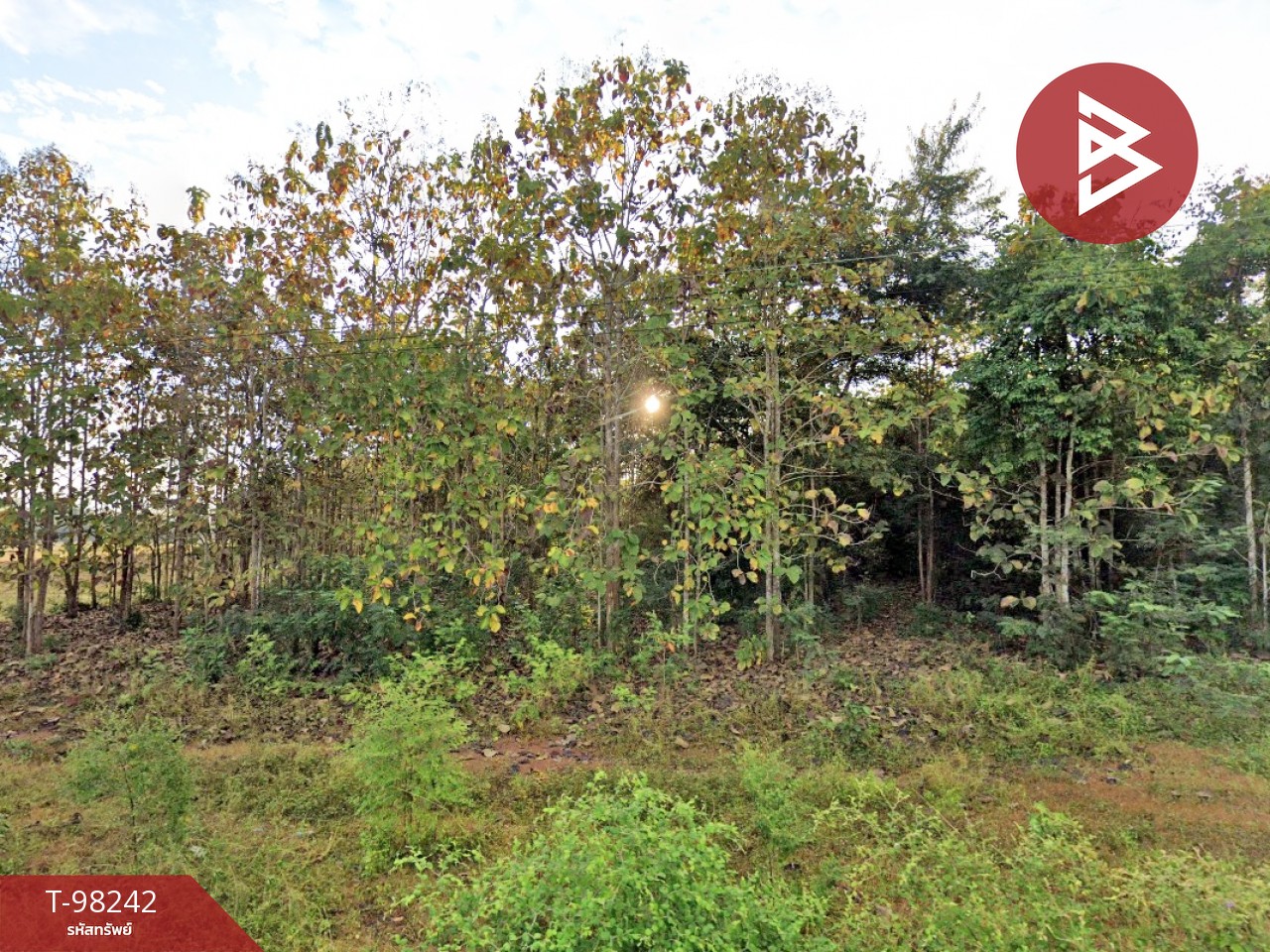 Land for sale, area 17 rai 2 ngan 65.6 square wa, Chiang Khong, Chiang Rai