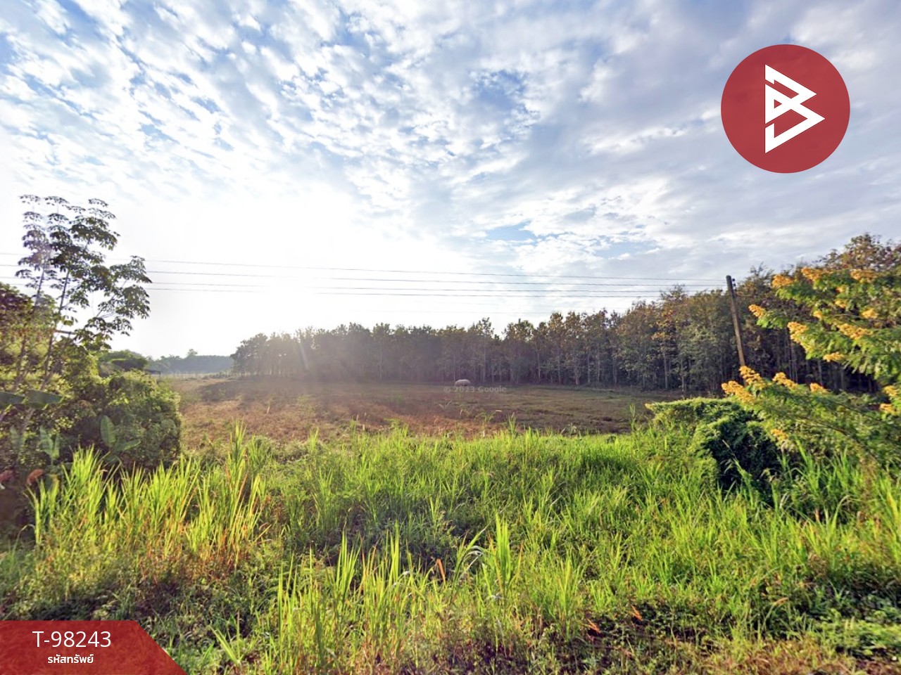 Land for sale, area 24 rai 66.6 square wa, Chiang Khong, Chiang Rai