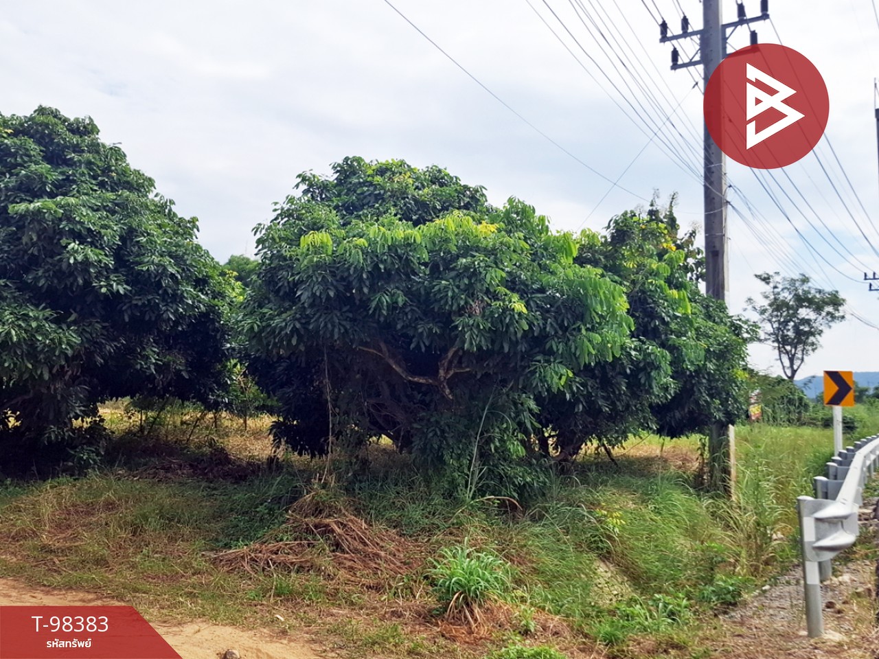 Land for sale, area 8 rai 96.2 square wa, Thoeng, Chiang Rai