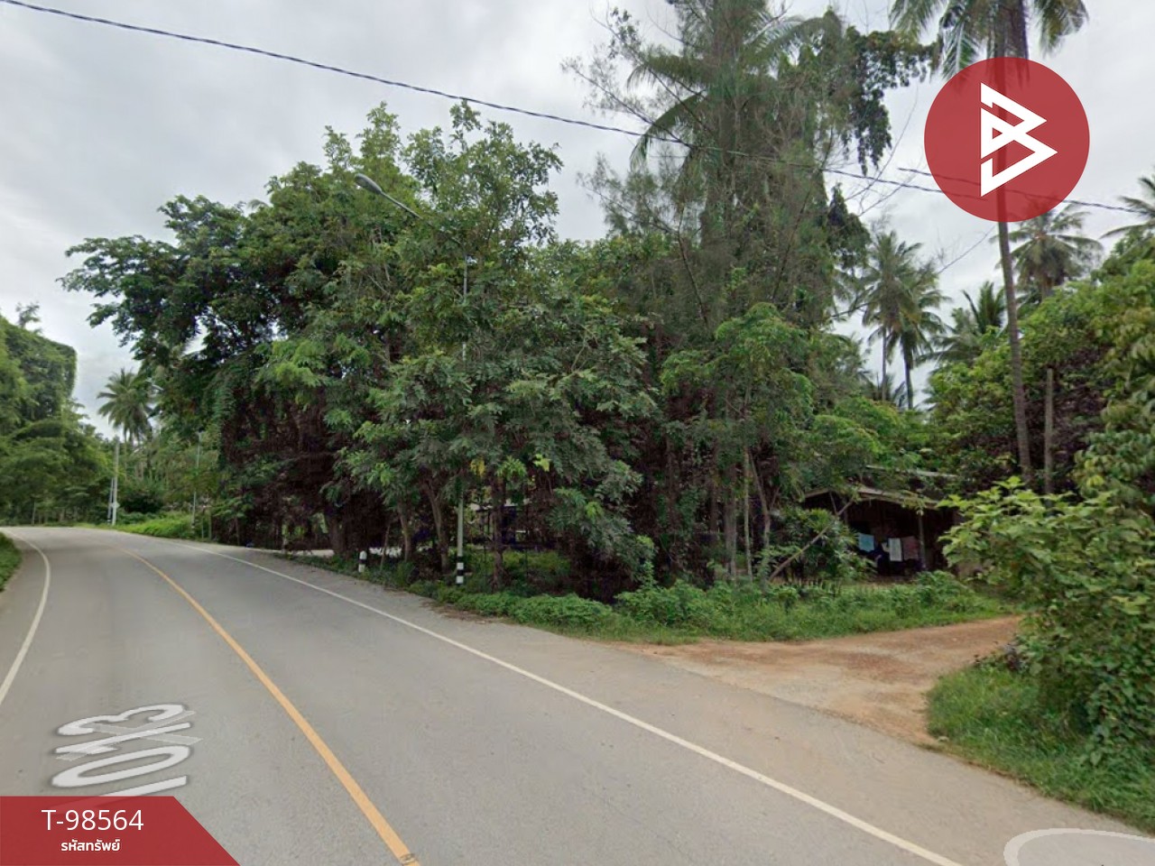 Land for sale, area 7 rai 81.1 sq.wa, Bang Saphan Noi, Prachuap Khiri Khan