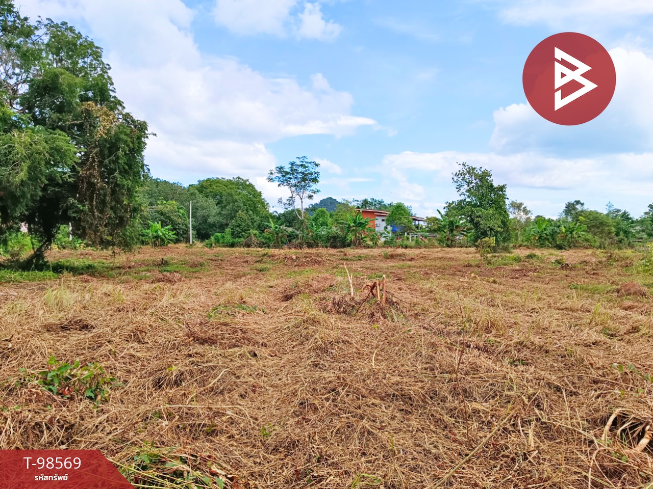 Urgent sale, vacant land, area 10 rai 1 ngan 51 sq m, Laem Ngop, Trat