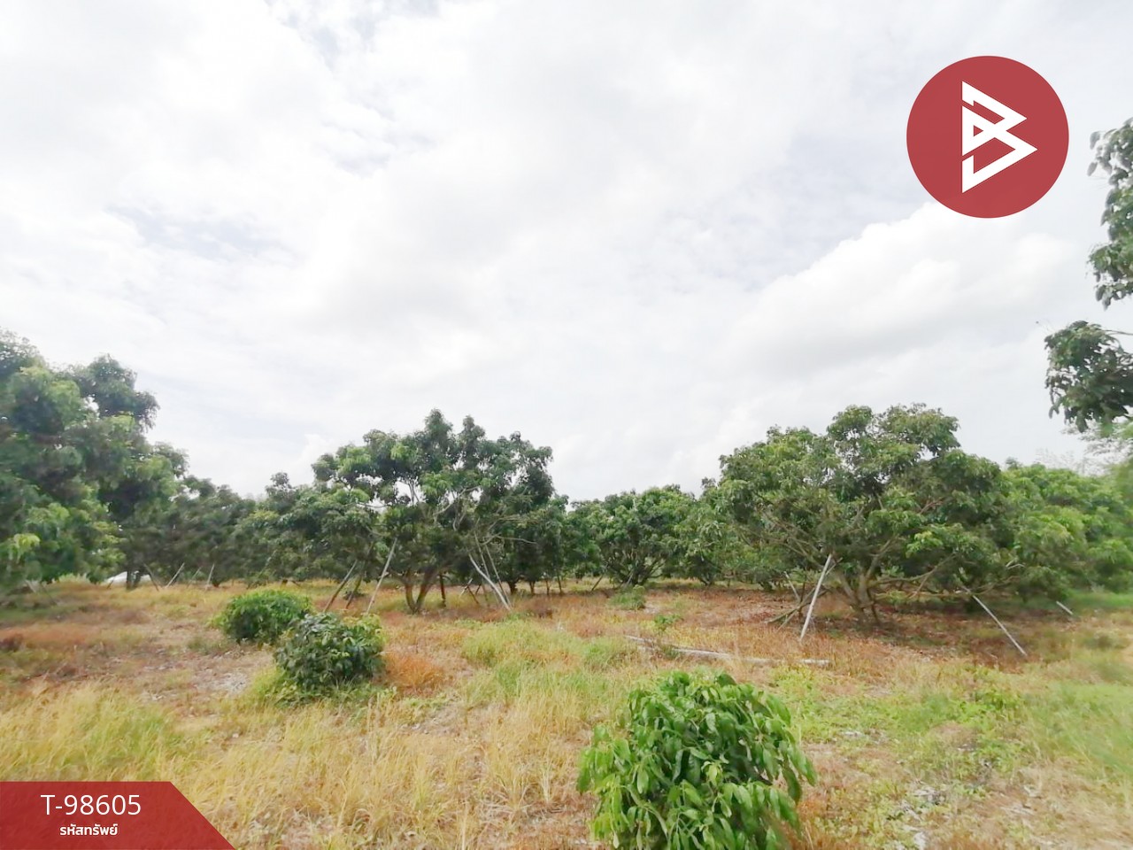 Land for sale, area 2 rai, Soi Dao, Chanthaburi