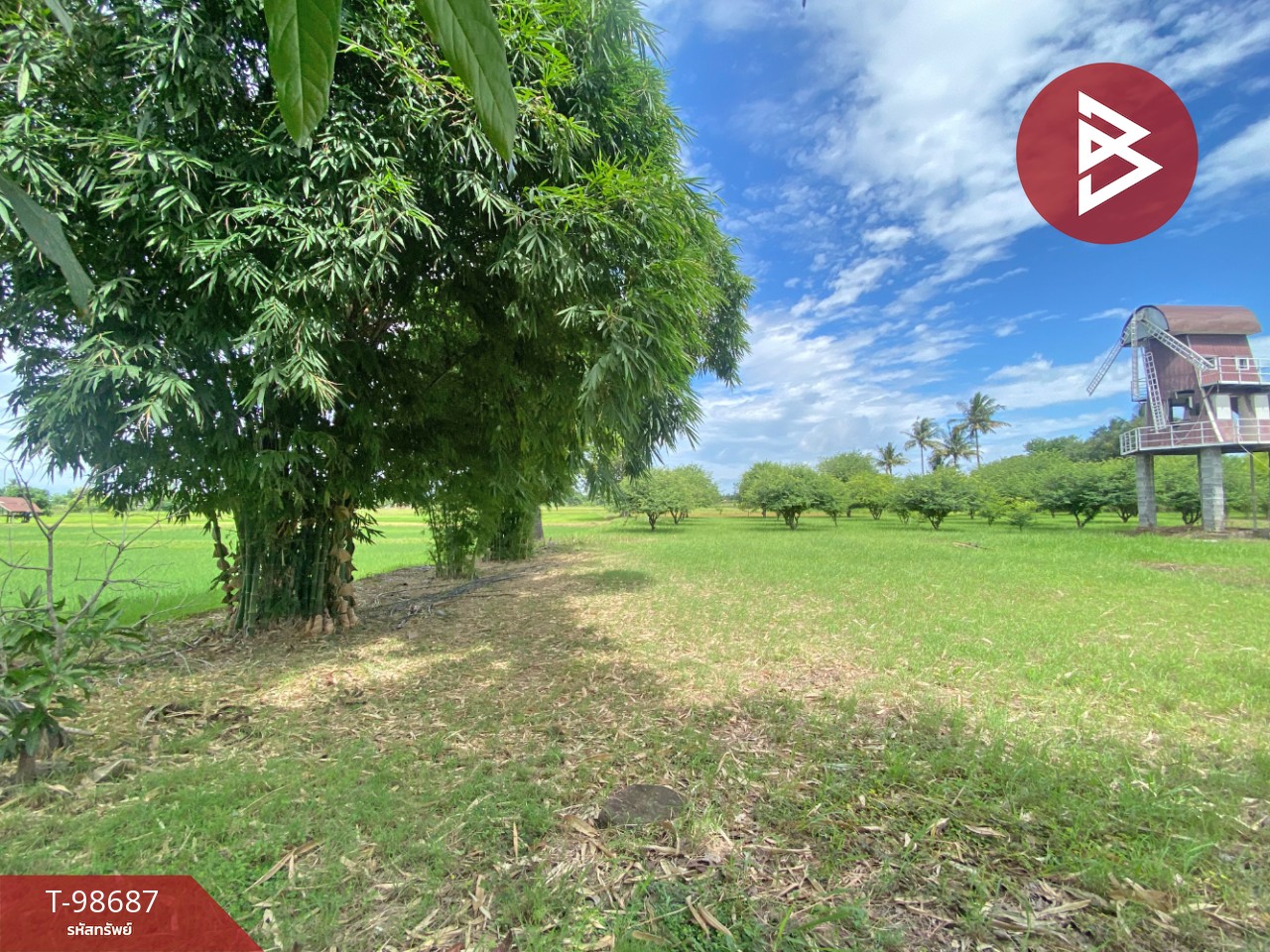 ขายที่ดินพร้อมกิจการ เนื้อที่ 6 ไร่ 3 งาน 54 ตารางวา ชุมแพ ขอนแก่น 8