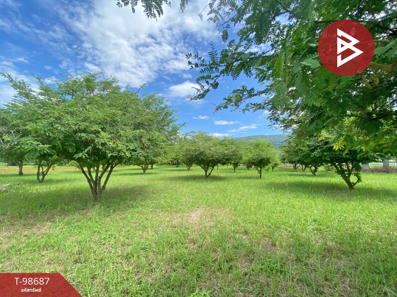 ขายที่ดินพร้อมกิจการ เนื้อที่ 6 ไร่ 3 งาน 54 ตารางวา ชุมแพ ขอนแก่น 9